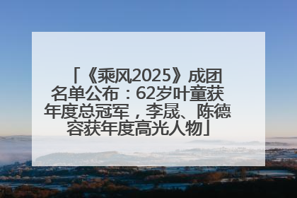 《乘风2025》成团名单公布：62岁叶童获年度总冠军，李晟、陈德容获年度高光人物
