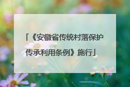 《安徽省传统村落保护传承利用条例》施行