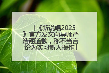 《新说唱2025》官方发文向导师严浩翔道歉，称不当言论为实习新人操作