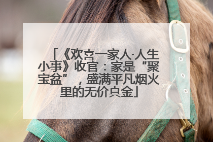 《欢喜一家人·人生小事》收官：家是“聚宝盆”，盛满平凡烟火里的无价真金