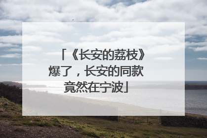 《长安的荔枝》爆了，长安的同款竟然在宁波