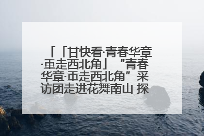 「甘快看·青春华章·重走西北角」“青春华章·重走西北角”采访团走进花舞南山 探寻天水乡村振兴之路