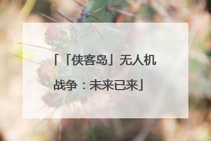 「侠客岛」无人机战争：未来已来