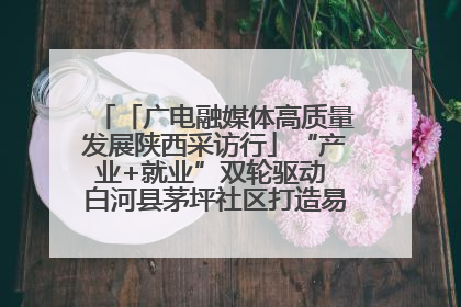 「广电融媒体高质量发展陕西采访行」“产业+就业”双轮驱动 白河县茅坪社区打造易地搬迁后扶新样本