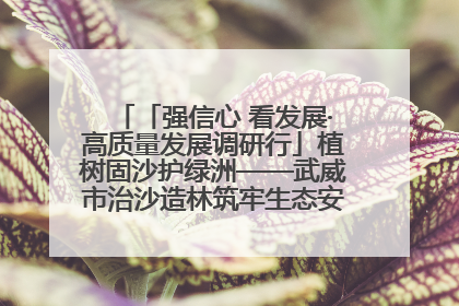 「强信心 看发展·高质量发展调研行」植树固沙护绿洲——武威市治沙造林筑牢生态安全屏障见闻