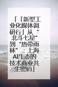 「新型工业化媒体调研行」从“北斗七星”到“热带雨林”：上海AI生态的技术商业共生密码