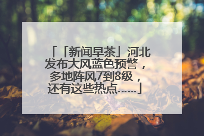 「新闻早茶」河北发布大风蓝色预警，多地阵风7到8级，还有这些热点……