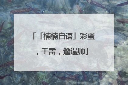 「楠楠自语」彩蛋，手雷，邋遢帅