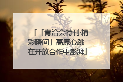 「青洽会特刊·精彩瞬间」高原心跳 在开放合作中澎湃