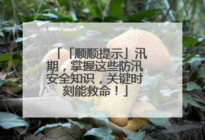 「顺顺提示」汛期，掌握这些防汛安全知识，关键时刻能救命！