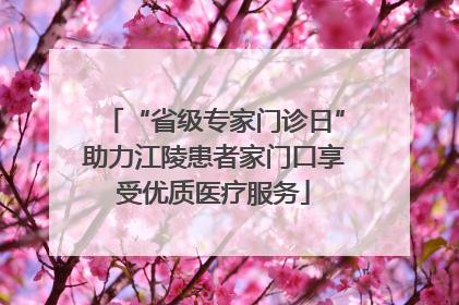 “省级专家门诊日”助力江陵患者家门口享受优质医疗服务