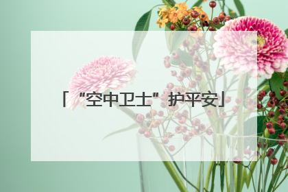 “空中卫士”护平安