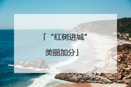 “红树进城” 美丽加分