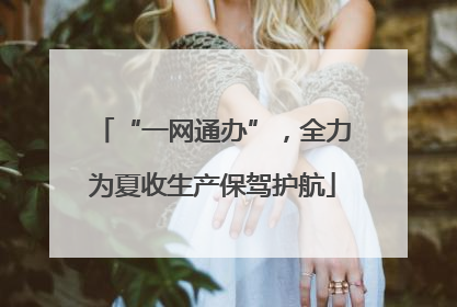 “一网通办”，全力为夏收生产保驾护航