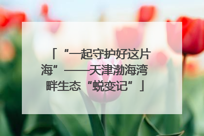 “一起守护好这片海”——天津渤海湾畔生态“蜕变记”