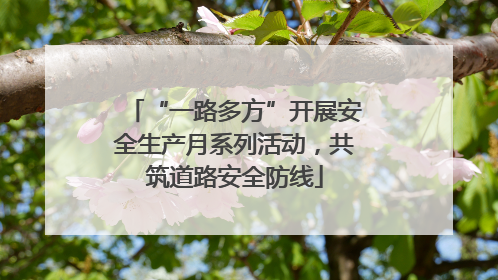 “一路多方”开展安全生产月系列活动，共筑道路安全防线
