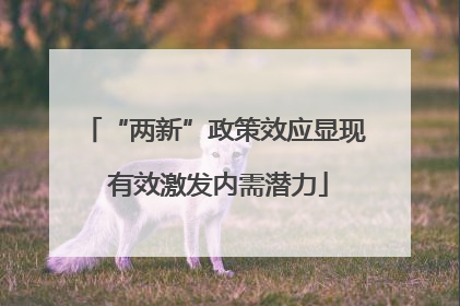 “两新”政策效应显现 有效激发内需潜力