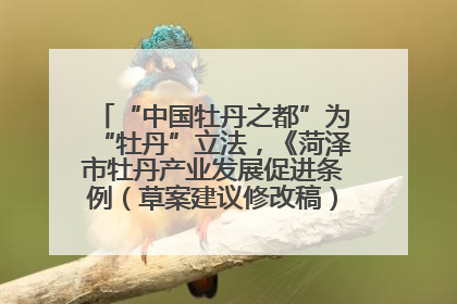 “中国牡丹之都”为“牡丹”立法，《菏泽市牡丹产业发展促进条例（草案建议修改稿）》公开征求意见