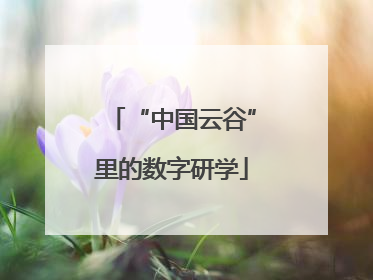 “中国云谷”里的数字研学