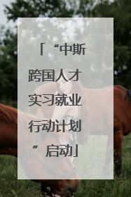 “中斯跨国人才实习就业行动计划”启动