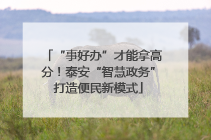 “事好办”才能拿高分！泰安“智慧政务”打造便民新模式