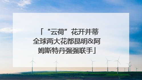 “云荷”花开并蒂 全球两大花都昆明&阿姆斯特丹强强联手