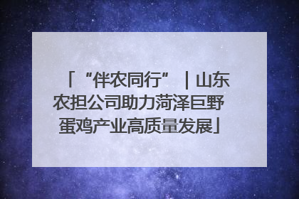 “伴农同行”｜山东农担公司助力菏泽巨野蛋鸡产业高质量发展