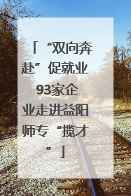 “双向奔赴”促就业 93家企业走进益阳师专“揽才”