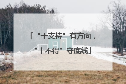 “十支持”有方向，“十不得”守底线