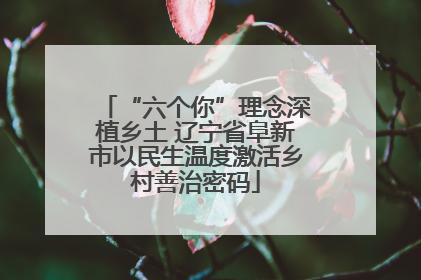 “六个你”理念深植乡土 辽宁省阜新市以民生温度激活乡村善治密码