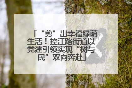 “剪”出幸福绿荫生活！控江路街道以党建引领实现“树与民”双向奔赴