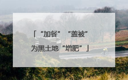 “加餐”“盖被” 为黑土地“增肥”
