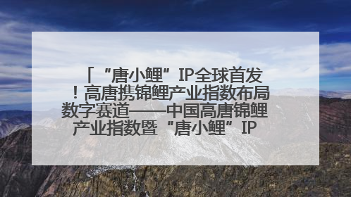 “唐小鲤”IP全球首发！高唐携锦鲤产业指数布局数字赛道——中国高唐锦鲤产业指数暨“唐小鲤”IP全球首发仪式在杭州举行