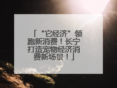 “它经济”领跑新消费！长宁打造宠物经济消费新场景！