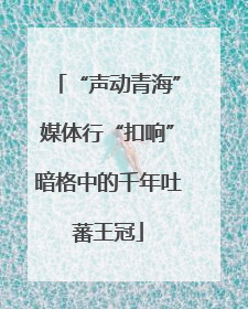 “声动青海”媒体行“扣响”暗格中的千年吐蕃王冠
