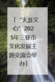 “天涯文心”2025年三亚市文化发展主题交流会举办