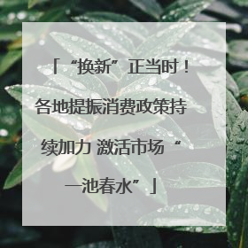 “换新”正当时！各地提振消费政策持续加力 激活市场“一池春水”