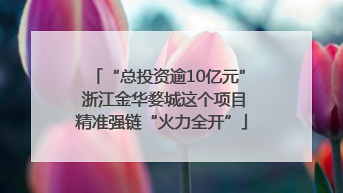 “总投资逾10亿元” 浙江金华婺城这个项目精准强链“火力全开”