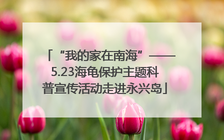 “我的家在南海”——5.23海龟保护主题科普宣传活动走进永兴岛