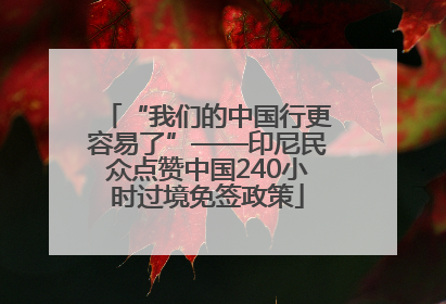 “我们的中国行更容易了”——印尼民众点赞中国240小时过境免签政策