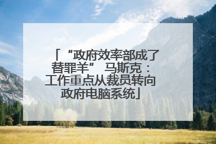 “政府效率部成了替罪羊” 马斯克：工作重点从裁员转向政府电脑系统