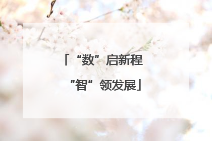 “数”启新程 “智”领发展