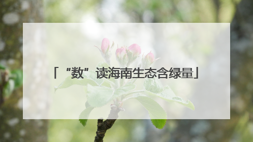 “数”读海南生态含绿量