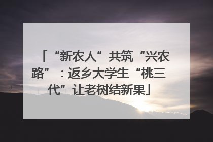 “新农人”共筑“兴农路”：返乡大学生“桃三代”让老树结新果