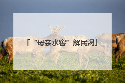 “母亲水窖”解民渴