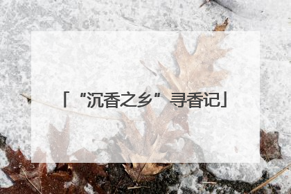 “沉香之乡”寻香记
