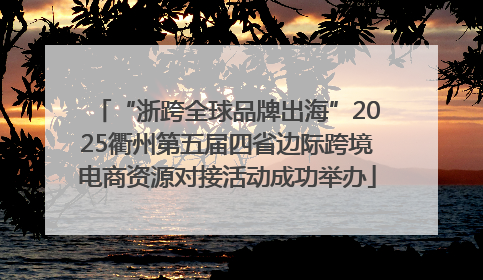 “浙跨全球品牌出海”2025衢州第五届四省边际跨境电商资源对接活动成功举办