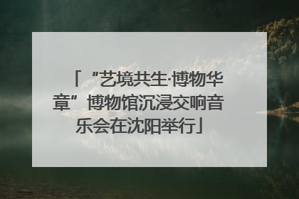 “艺境共生·博物华章”博物馆沉浸交响音乐会在沈阳举行
