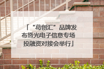 “葛创汇”品牌发布暨光电子信息专场投融资对接会举行