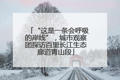 “这是一条会呼吸的岸线”，城市观察团探访百里长江生态廊道青山段